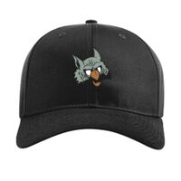 Pro Twill Snapback Thumbnail