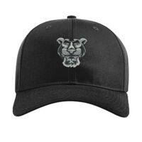 Pro Twill Snapback Thumbnail