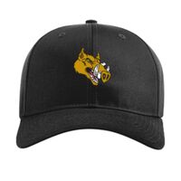 Pro Twill Snapback Thumbnail