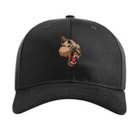 Pro Twill Snapback Thumbnail