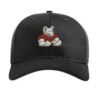 Pro Twill Snapback Thumbnail