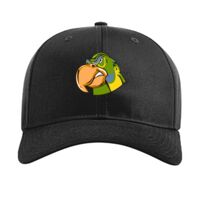 Pro Twill Snapback Thumbnail