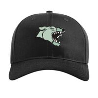 Pro Twill Snapback Thumbnail