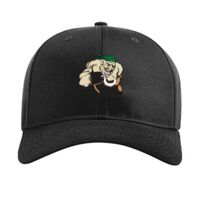 Pro Twill Snapback Thumbnail