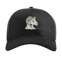 Pro Twill Snapback Thumbnail