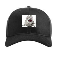 Pro Twill Snapback Thumbnail