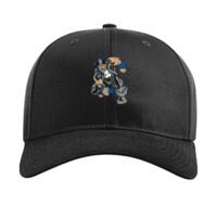 Pro Twill Snapback Thumbnail