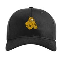 Pro Twill Snapback Thumbnail