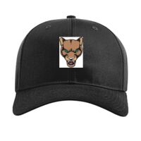 Pro Twill Snapback Thumbnail