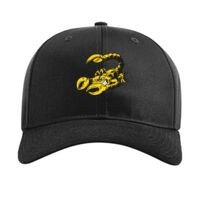 Pro Twill Snapback Thumbnail