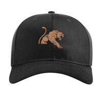 Pro Twill Snapback Thumbnail