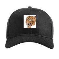 Pro Twill Snapback Thumbnail