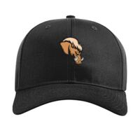 Pro Twill Snapback Thumbnail