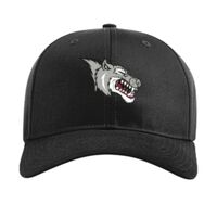 Pro Twill Snapback Thumbnail