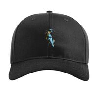 Pro Twill Snapback Thumbnail