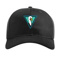 Pro Twill Snapback Thumbnail