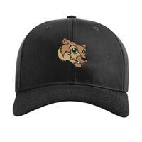 Pro Twill Snapback Thumbnail