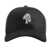 Pro Twill Snapback Thumbnail