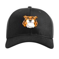 Pro Twill Snapback Thumbnail