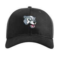 Pro Twill Snapback Thumbnail