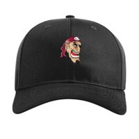 Pro Twill Snapback Thumbnail