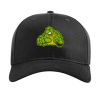 Pro Twill Snapback Thumbnail