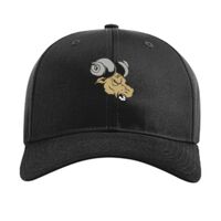 Pro Twill Snapback Thumbnail