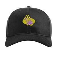 Pro Twill Snapback Thumbnail