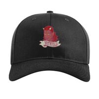 Pro Twill Snapback Thumbnail