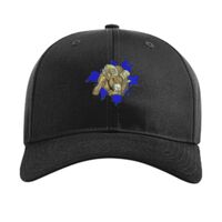 Pro Twill Snapback Thumbnail