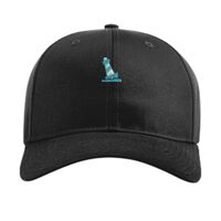 Pro Twill Snapback Thumbnail