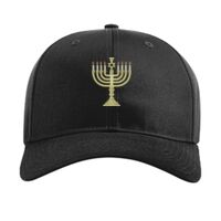 Pro Twill Snapback Thumbnail
