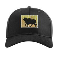 Pro Twill Snapback Thumbnail