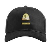 Pro Twill Snapback Thumbnail