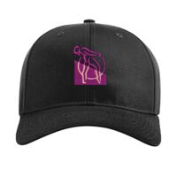 Pro Twill Snapback Thumbnail