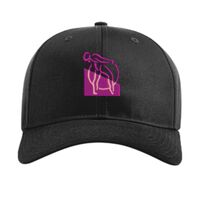 Pro Twill Snapback Thumbnail