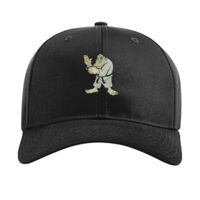 Pro Twill Snapback Thumbnail