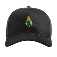 Pro Twill Snapback Thumbnail