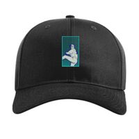 Pro Twill Snapback Thumbnail