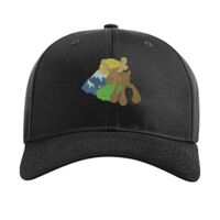 Pro Twill Snapback Thumbnail