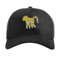 Pro Twill Snapback Thumbnail