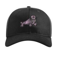 Pro Twill Snapback Thumbnail