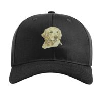 Pro Twill Snapback Thumbnail
