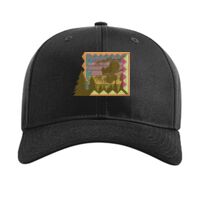 Pro Twill Snapback Thumbnail