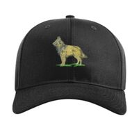 Pro Twill Snapback Thumbnail