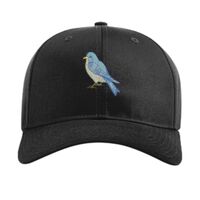 Pro Twill Snapback Thumbnail