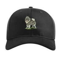 Pro Twill Snapback Thumbnail