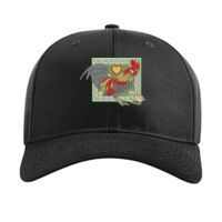 Pro Twill Snapback Thumbnail