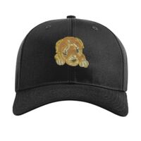 Pro Twill Snapback Thumbnail