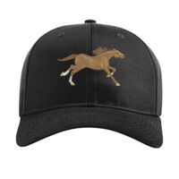 Pro Twill Snapback Thumbnail